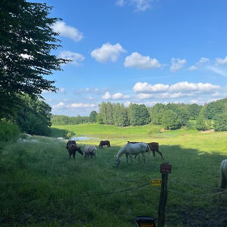 Biale Domki Bytów Zewnętrze zdjęcie